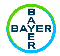logo30